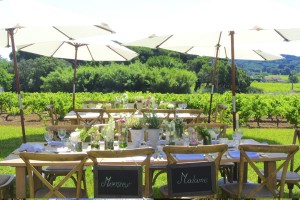 mariage vigne 7 mariage vigne 7 300x200 mariage vigne 7