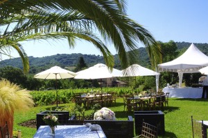 mariage vigne 8 mariage vigne 8 300x200 mariage vigne 8